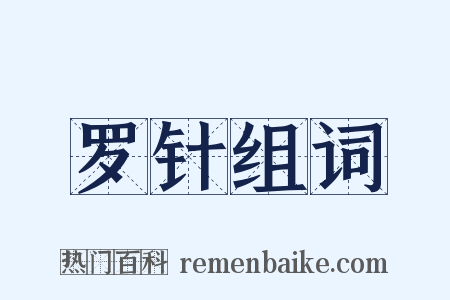 罗针组词是什么意思的图片